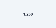 QCustomNumberCounter